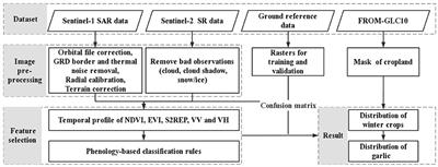 Coupling optical and SAR imagery for automatic garlic mapping